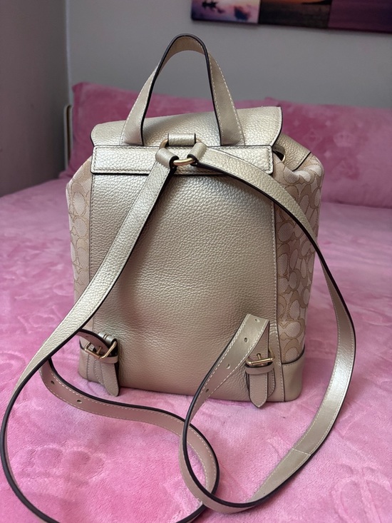 coach backpack with stripe West Bag In Signature Canvas Varsity CV922 Details Our Signature canvas and refined leather West pack with Sporty Varsity stripe is a compact design with room to carry daily essentials Coach large varsity stripe backpack
